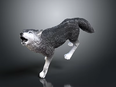 Detailed Realistic Wolf Sculpture Howling While Running On Dark Gray Background 3d model