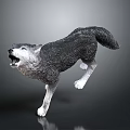 Detailed Realistic Wolf Sculpture Howling While Running On Dark Gray Background