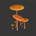 Fresh Orange Mushrooms of Various Sizes Stacked Together Against Dark Background