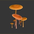 Mushrooms, straw mushrooms, poisonous mushrooms, plant mushrooms, mushrooms, ganoderma lucidum, tree mushrooms, vegetables, fruits and vegetables 3d model