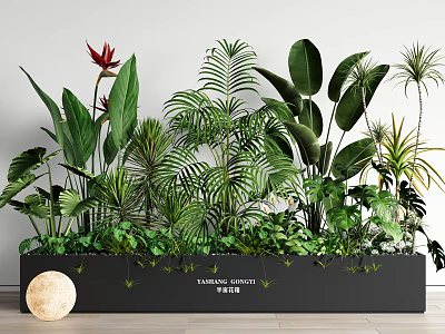 Lush Indoor Tropical Plant Combination With Various Foliage Types In Rectangular Planter 3d model