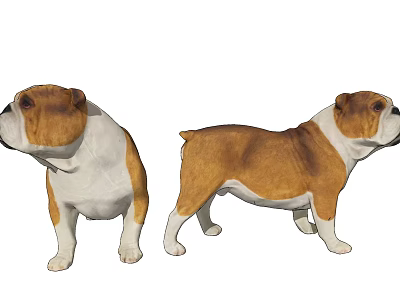 Two Brown And White Reptile Lizard 3D Models In Standing Pose 3d model