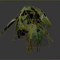 Lush Green Plant With Large Leaves Prominent Veins And Slender Stems