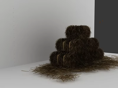 Rustic Stacked Hay Bales With Scattered Straw in White and Gray Corner 3d model