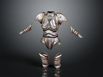 Medieval Female Armor Set With Metallic Silver Design Gold Trim And Shoulder Arm Leg Components 3d model