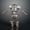 Medieval Female Armor Set With Metallic Silver Design Gold Trim And Shoulder Arm Leg Components