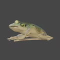 Green Frog Game Movie Character With Detailed Skin Texture And Natural Background