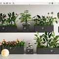 Indoor Plant Combination With Various Green Plants Flowering Plants In Black Rectangular Pots 3d model