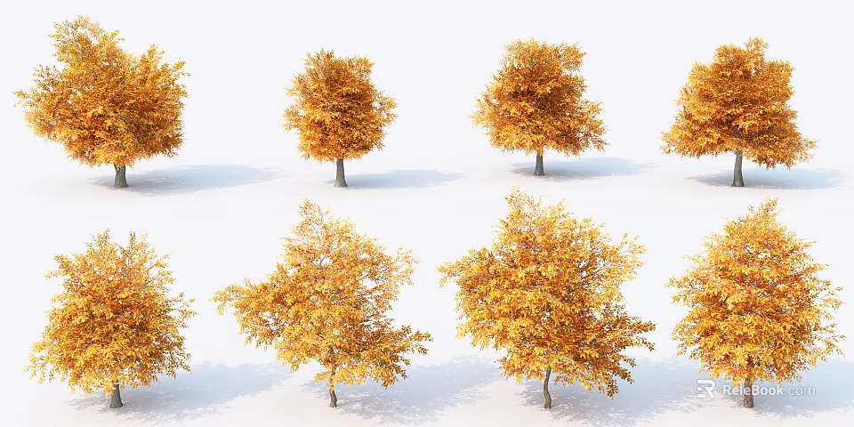 Arranged Autumn Arbor Trees With Vibrant Yellow Orange Leaves And Shadows 3d model 