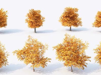 Arranged Autumn Arbor Trees With Vibrant Yellow Orange Leaves And Shadows 3d model