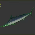 Blue And White Swordfish With Streamlined Body Long Bill And Dorsal Fin