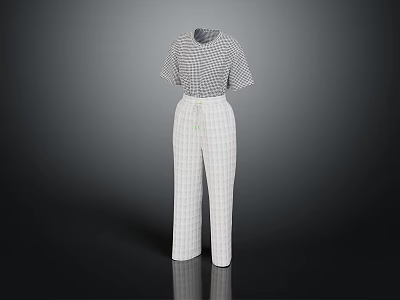 Stylish Thin Plaid Short Sleeve Top With White Wide Leg Pants Outfit Set 3d model