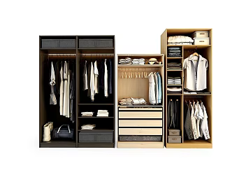 Wardrobe combination 3d model