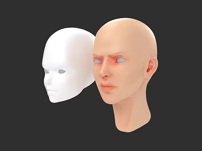Female Mannequin Heads In White And Skin Tone Against Black Background 3d model
