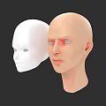 Female Mannequin Heads In White And Skin Tone Against Black Background