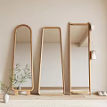 modern mirror full-length mirror 3d model
