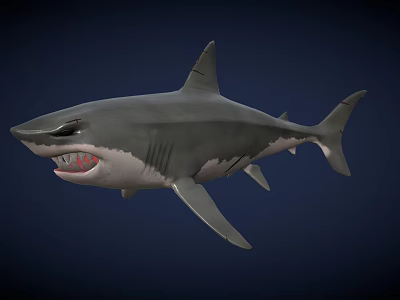 Realistic Great White Shark 3D Model With Open Mouth And Sharp Teeth 3d model