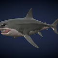 Realistic Great White Shark 3D Model With Open Mouth And Sharp Teeth 3d model