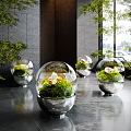 Elegant Indoor Landscape With Glass Spherical Planters Green Plants And Flowers