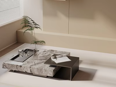 Modern Minimalist Sofa Coffee Table Set With Marble Top Plant And Magazine 3d model