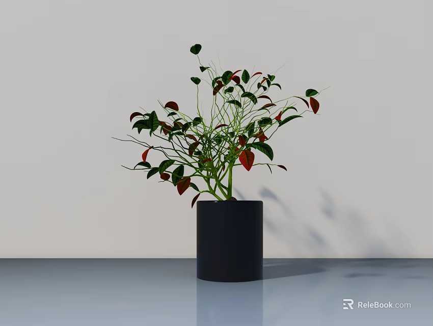 Bonsai Plant With Green And Red Leaves In Black Cylindrical Pot On Light Table 3d model 