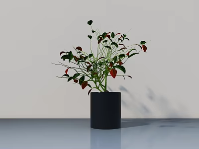 Bonsai Plant With Green And Red Leaves In Black Cylindrical Pot On Light Table 3d model