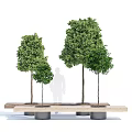 Tree Planters with Wooden Bench Design and Various Size Trees 3d model