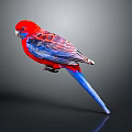 Red And Blue Parrot With Striped Feathers On Dark Background With Reflection