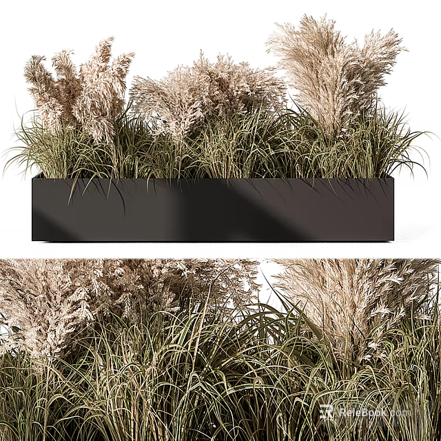 Garden Ornament Featuring Black Rectangular Planter With Pampas Grass And Green Foliage 3d model