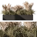 Garden Ornament Featuring Black Rectangular Planter With Pampas Grass And Green Foliage 3d model