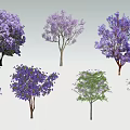 Colorful Arbor Varieties with Purple Pink Green Flowers and Foliage under Blue Sky