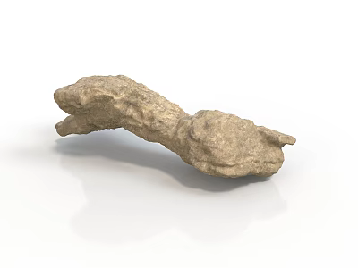 Natural Wood And Stone 3D Rendering With Rough Surface Irregular Shape Design 3d model