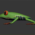 Vibrant Green Frog With Red Eyes And Red Toes On Black Background