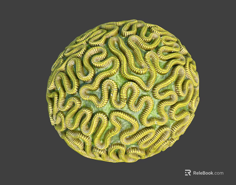 Green and Yellow Worms Forming Spherical Structure on Gray Background 3d model 
