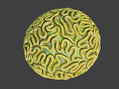 Green and Yellow Worms Forming Spherical Structure on Gray Background 3d model