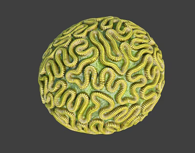 Modern Coral Ball Yellow Coral Ball 3d model Modern Coral Ball Yellow Coral Ball 3d model
