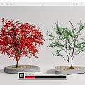 Modern Tree Landscape Tree 3d model