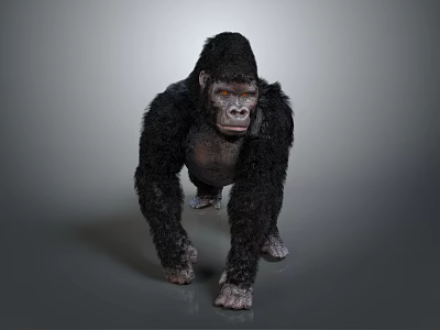 Realistic Gorilla With Black Fur And Detailed Texture In Standing Pose 3d model
