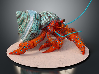 Modern Hermit Crab Sea Crab River Crab Hairy Crab model