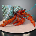 Vibrant Red Hermit Crab With Blue Spotted Claws And Turquoise Shell On Sandy Base