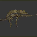 Stegosaurus Dinosaur Skeleton With Back Plates And Tail Spikes In Museum