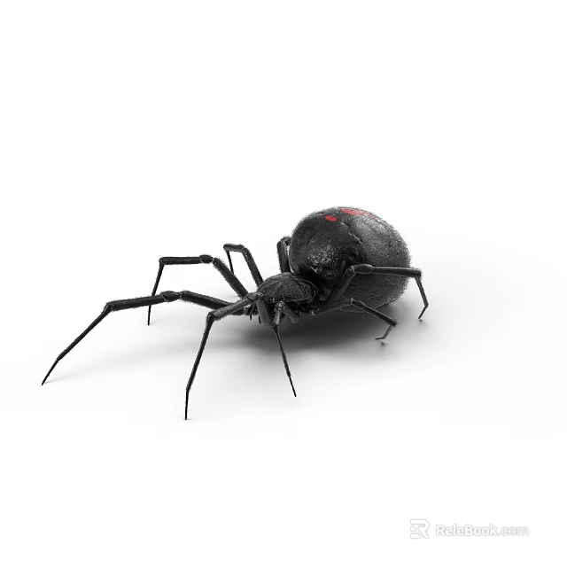 Black Reptile With Red Markings On Body And Long Legs In White Background 3d model 