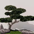 Bonsai Tree Garden Ornament with Rocks and Grass in Rectangular Container Against White Wall 3d model