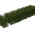 Well Trimmed Long Green Shrub Hedge With Dense Foliage And Neat Shape