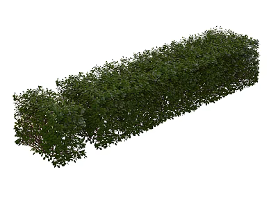 Well Trimmed Long Green Shrub Hedge With Dense Foliage And Neat Shape 3d model