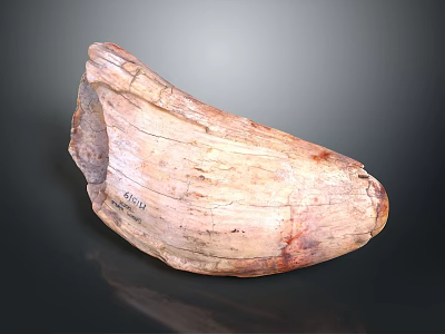 Natural Unique Stone Wood Decorative Piece With Organic Texture And Rustic Charm For Home Decor 3d model