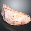 Natural Unique Stone Wood Decorative Piece With Organic Texture And Rustic Charm For Home Decor