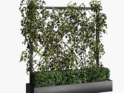 Stylish Bonsai Planter With Metal Trellis And Lush Climbing Green Shrubs 3d model