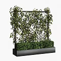 Stylish Bonsai Planter With Metal Trellis And Lush Climbing Green Shrubs
