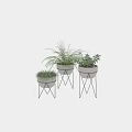 Decorative Plant Pot Arrangement With Gray Containers And Black Metal Stands For Home Decor